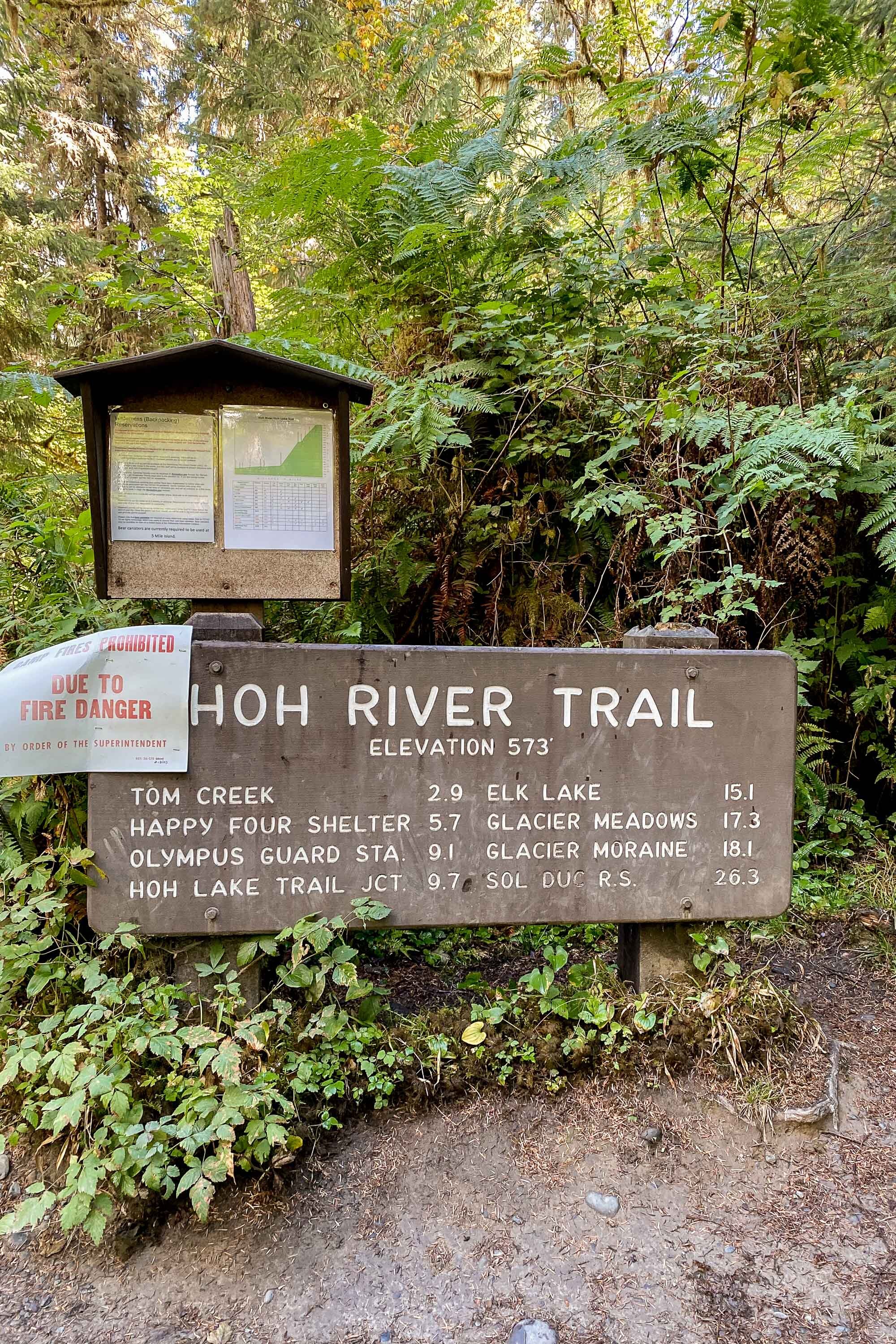 Hoh rainforest cheap trail map